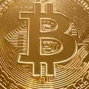 SxnTherd's profile picture. https://t.co/KuLBqUdKcP