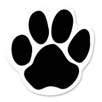 Artbear (@artbear1000) 's Twitter Profile Photo