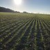 MallardPassActionGroup (@mallardpassag) Twitter profile photo MallardPassActionGroup (@mallardpassag) Twitter profile photo