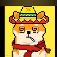 $Shib $0.01 ππβ (@code_denzo) 's Twitter Profile