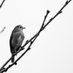 Abhinav Singh (@abhinavcurious) Twitter profile photo Abhinav Singh (@abhinavcurious) Twitter profile photo