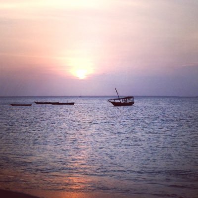 Moe40775150's profile picture. Critical thinker, Optimist Realist, anti BS, my likes, tweets and followers are not an endorsement nor reflective of my personal beliefs. Crypto enthusiasts