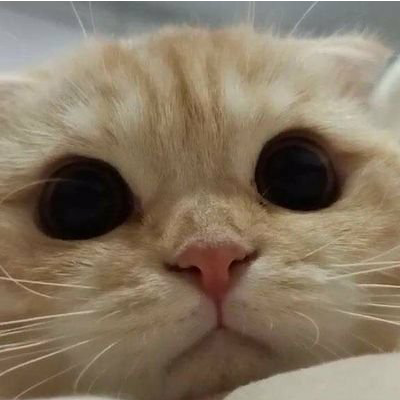 nwnd2005's profile picture. 