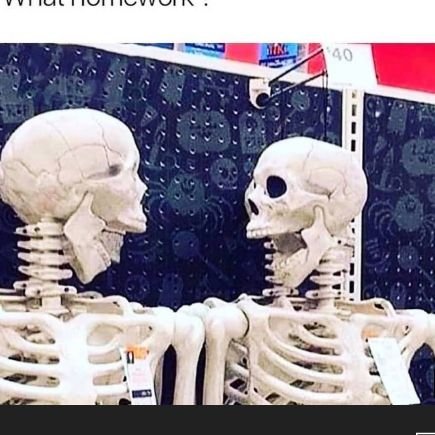 Danieltheggkid1's profile picture. 