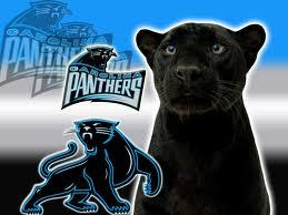 carolina panthers
