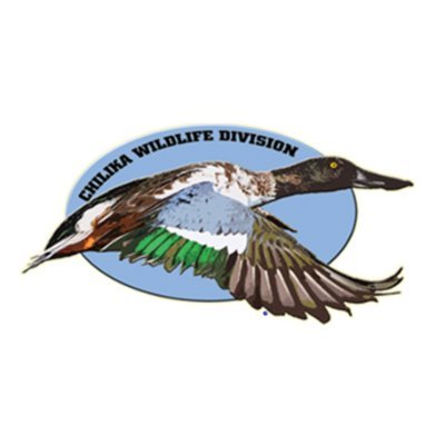 Official Twitter handle of Chilika Wildlife Division.