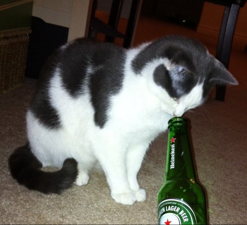 McLellanAndrew's profile picture. 