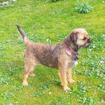 ChristinaRawlin's profile picture. love all equine and canine in fact all animals. Adore our  Royal Family. 
interested in F1 and the Paranormal. Coeliac.  #WeLoveYouCatherine