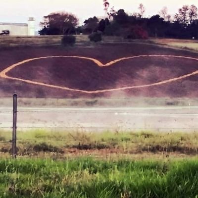 MRobins10528551's profile picture. 