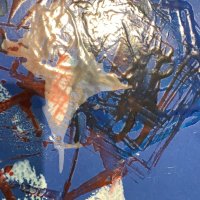 Vikity Doo Dah 🐠 (@vicotley) 's Twitter Profile Photo Vikity Doo Dah 🐠 (@vicotley) 's Twitter Profile Photo