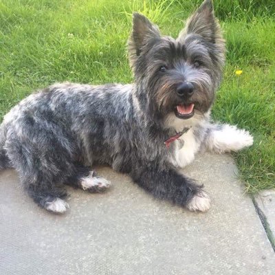 kcycon's profile picture. all views are my own