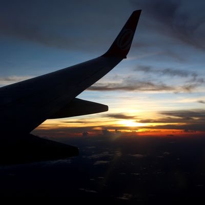 AN74428981's profile picture. 
