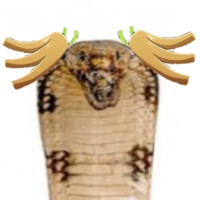 icetoiaimu2's profile picture. メルブラ:志貴マーリオゥ/電撃:黒子/GBVSR:ジークフリート/学マス:佑芽ことねミヤビ/メルブラの大会運営や電撃FCIの段位戦の運営にも参加しておりますので、その辺興味ある方もいつでもお声がけください。［PSID:sarya_icecream］