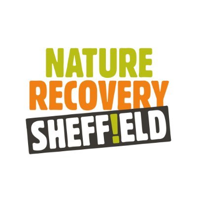 We are Nature Recovery Sheffield - a group of organisations and individuals working together to restore nature and wildlife in Sheffield