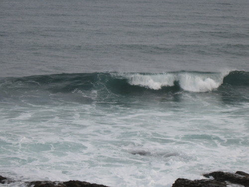 beachgirl1008's profile picture. Writer of cozy mysteries. Living the life in Vermont. Loves staring at a blank page on my laptop.