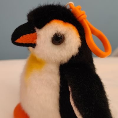 ailuchu2021's profile picture. 