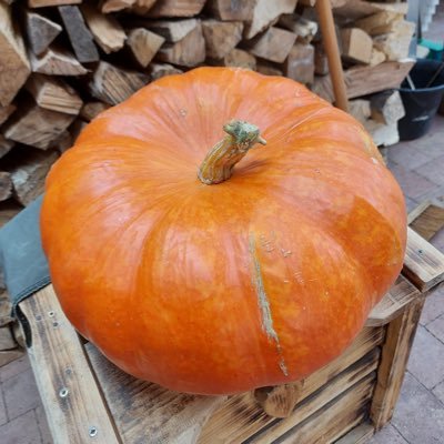 Keyos77's profile picture. 