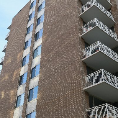 vnsta3003's profile picture. Representing the residents of 3003 Van Ness Street, NW in Washington, DC. @HarryGural, president