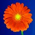 Sergey Tkachenko (@winreview) Twitter profile photo Sergey Tkachenko (@winreview) Twitter profile photo