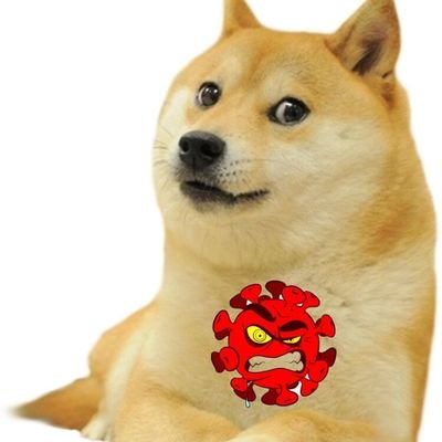 New world most hype meme token inspired By DOGE COIN🛑🛑