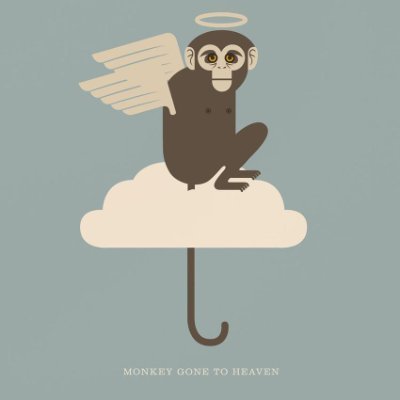 This monkey's gone to heaven