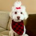 GucciPooh🎀🐾 (@gucci_pooh) Twitter profile photo GucciPooh🎀🐾 (@gucci_pooh) Twitter profile photo