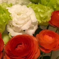 るるる〜 (@rmi2njrh2wns5tv) 's Twitter Profile