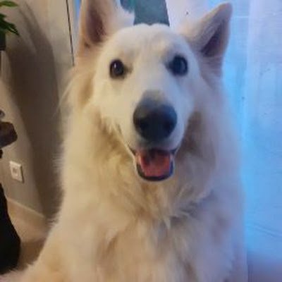 FougeratEugenie's profile picture. 