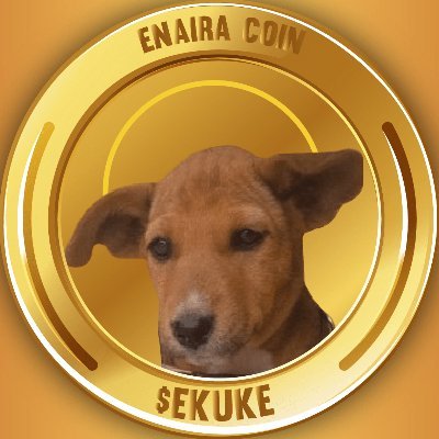 Ekukecoin (aka enaira coin) is an open source peer to peer meme coin favoured by the fun loving generation globally.

Same Nyanga more PROFITABILITIES...