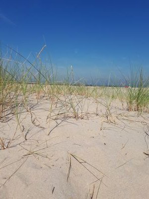 Danny196431's profile picture. 