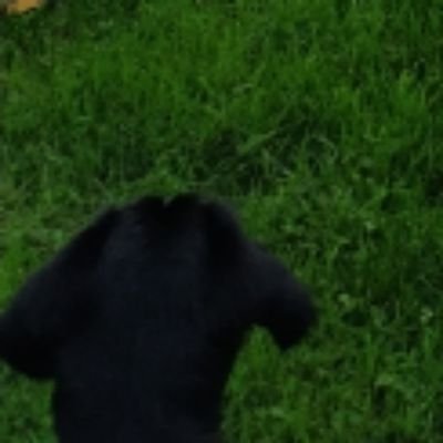 ADecrecimiento's profile picture. Hay mucho que hacer y muy poco tiempo.
https://t.co/Nn4vMLYrWT