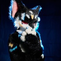 MakiFox (@makifox03) 's Twitter Profile