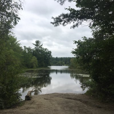 CecilyRhett's profile picture. film / tv editor. THE THING ABOUT PAM. BUT I’M A CHEERLEADER.  BRAINWASHED. SACRED LIES. NOS4A2. I’m telling you stories. trust me. she/her.