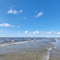 MammaMia 💚🌻 (@strandmuschelin) 's Twitter Profile