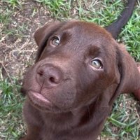 Amy Cortez (@amycz88) 's Twitter Profile