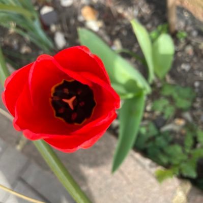 gill_manly's profile picture. 