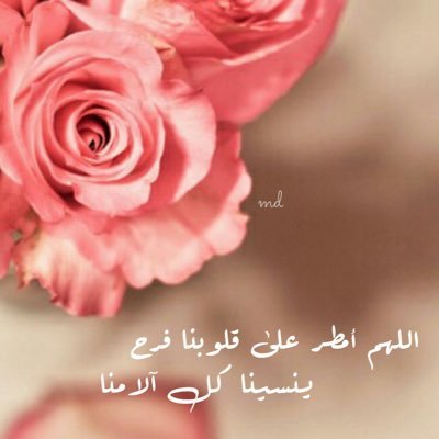 ee_sm112's profile picture. 