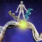 MeysamHamzeh's profile picture. helping one person might not change the whole world,
but it could change the world for one person.