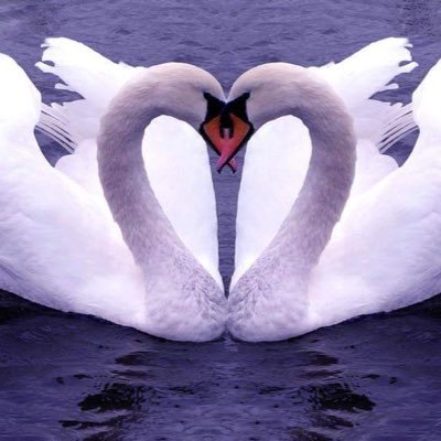 Path2Freedom954's profile picture.