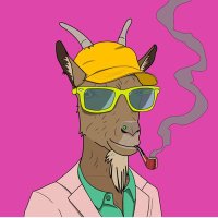 seal1.arb (@kingsleyanene3) Twitter profile photo