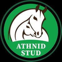 Athnid Stud(@AthnidStud) 's Twitter Profile Photo