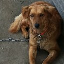 Robbie Davis - @Bball_Rob - Twitter