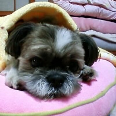 小薗　忍