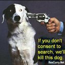 maxim webb - @maximwebb - Twitter