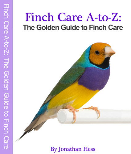 FinchRalph's profile picture. Online author and expert in finches based out of Orlando, FL, USA. Go to website for free mini-course. -- PS. WILL ALWAYS FOLLOW YOU BACK.