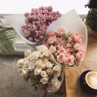 شيخه الأنصاري (@shaikhaalan) 's Twitter Profile