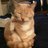 dig_itbaracco's profile image