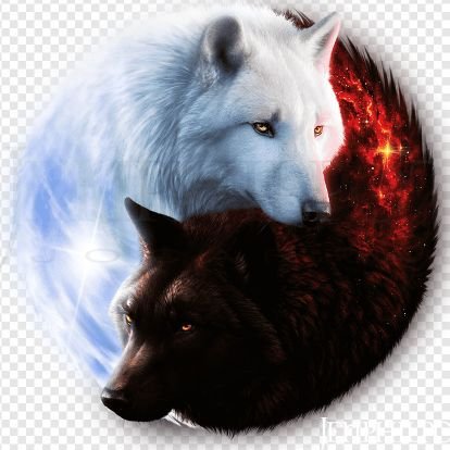 ElementalWolf21's profile picture. 23, CHAOS creator and Enjoyer!