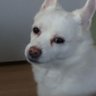 fullpoolfull's profile picture. 근로기분법 제6조 7항
비실비실한 광세권 자영업자