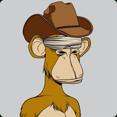 webrecovery's profile picture. 